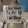I Just Want to Pet All the Dogs