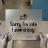 Sorry I'm Late, I Saw a Dog