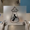 Cat Abduction