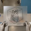 Anatomical Heart in a Cube