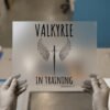 Valkyrie in Training