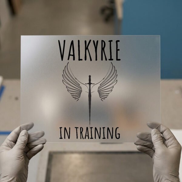 Valkyrie in Training