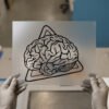 Anatomical Brain — Line Art