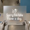 Sorry I'm Late, I Saw a Dog