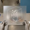 Anatomical Heart in a Cube